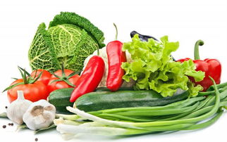 坚持质量兴农，筑牢初级食用农产品绿色优质供给新基石