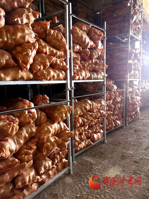 山丹县首张食用农产品合格证诞生，初级农产品质量安全追溯迈出关键一步