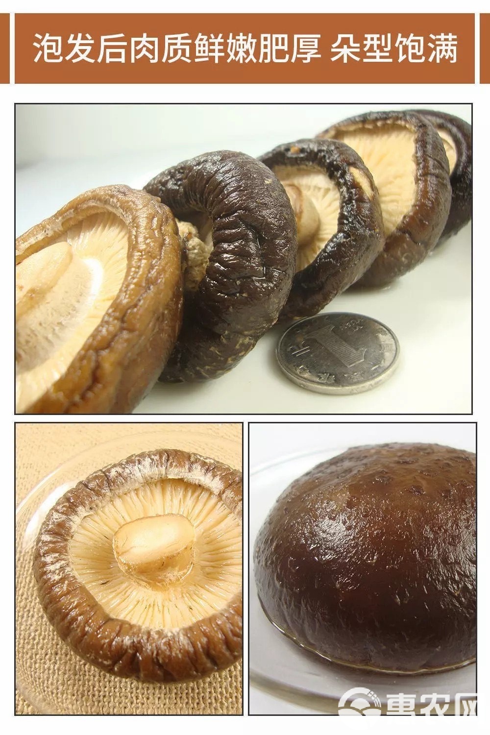 深山珍馐 野生冬菇与珍珠小香菇的养生之道