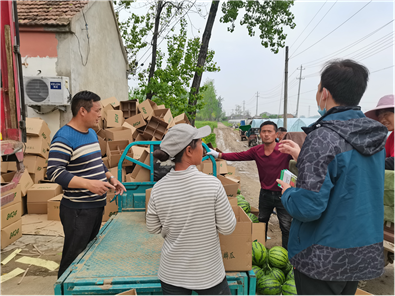 筑牢食品安全防线 守护群众“舌尖上的清凉”——县农业局开展西瓜农产品质量安全专项抽检行动